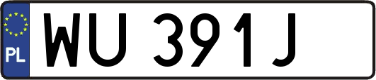 WU391J