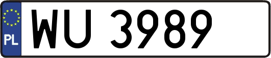 WU3989