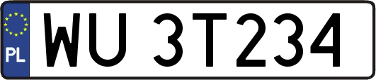 WU3T234