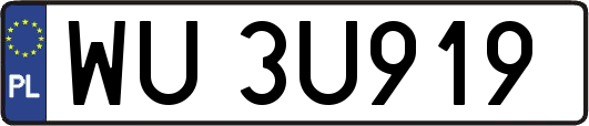 WU3U919