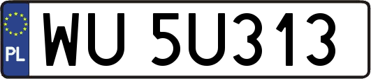 WU5U313