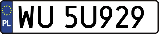 WU5U929