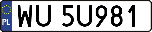 WU5U981