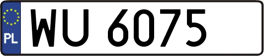 WU6075