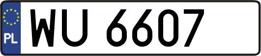 WU6607