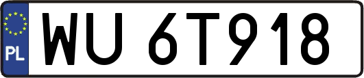 WU6T918