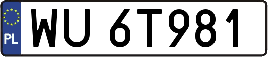 WU6T981