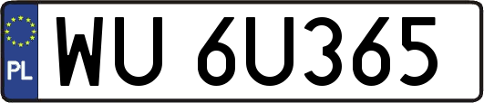 WU6U365