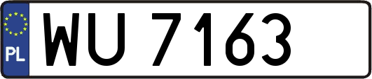 WU7163