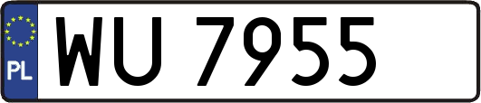 WU7955
