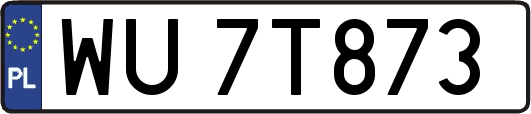WU7T873