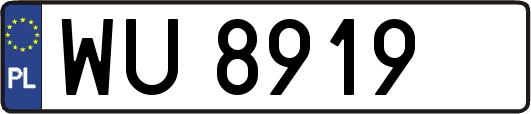 WU8919