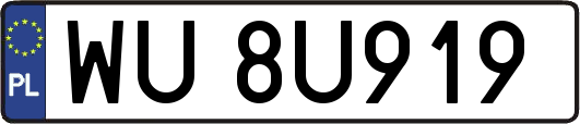 WU8U919