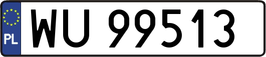 WU99513