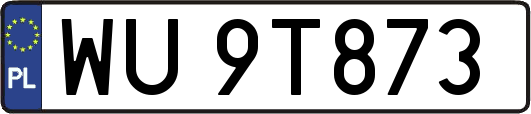 WU9T873