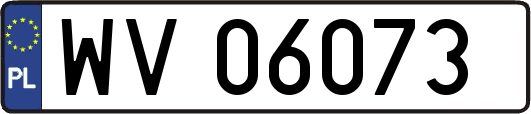 WV06073