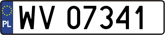 WV07341