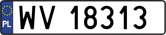 WV18313