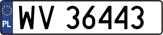 WV36443