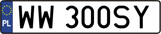 WW300SY