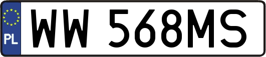WW568MS