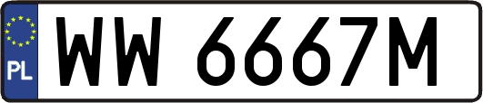 WW6667M
