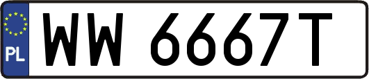 WW6667T
