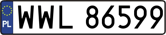 WWL86599