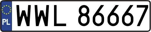 WWL86667