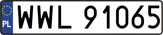 WWL91065