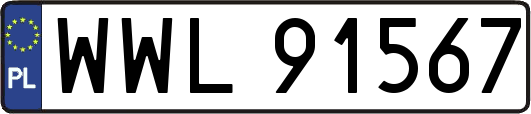 WWL91567