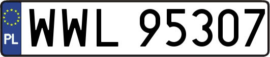 WWL95307