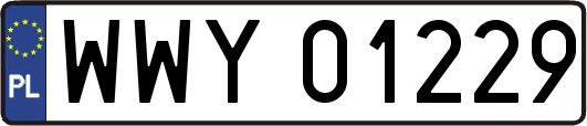 WWY01229
