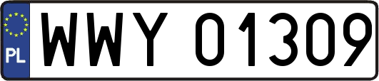 WWY01309