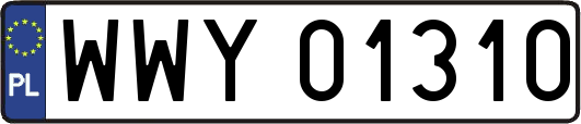 WWY01310