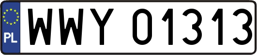WWY01313