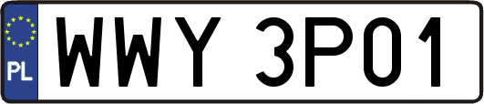 WWY3P01