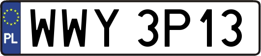 WWY3P13