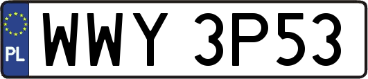 WWY3P53