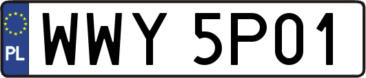 WWY5P01