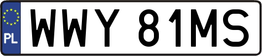 WWY81MS