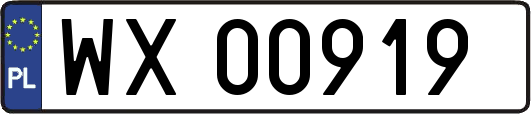 WX00919