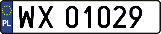 WX01029