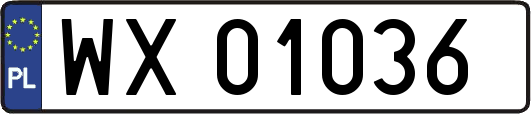 WX01036