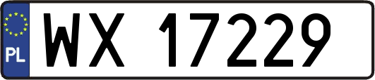 WX17229