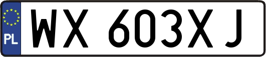 WX603XJ