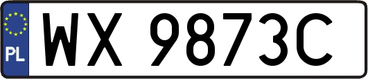 WX9873C