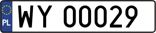 WY00029