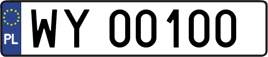 WY00100