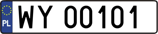 WY00101